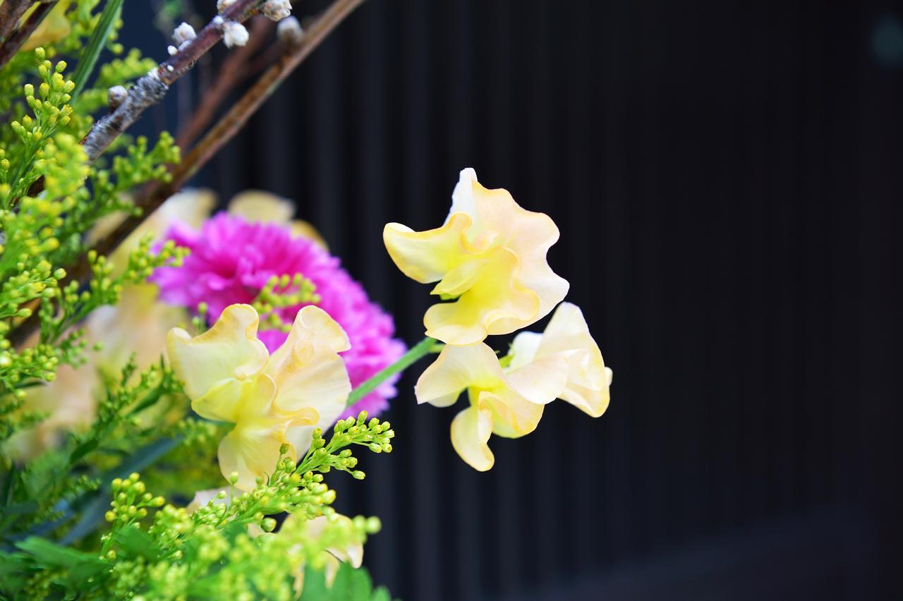 Tsumugi Inn Kyoto Dış mekan fotoğraf